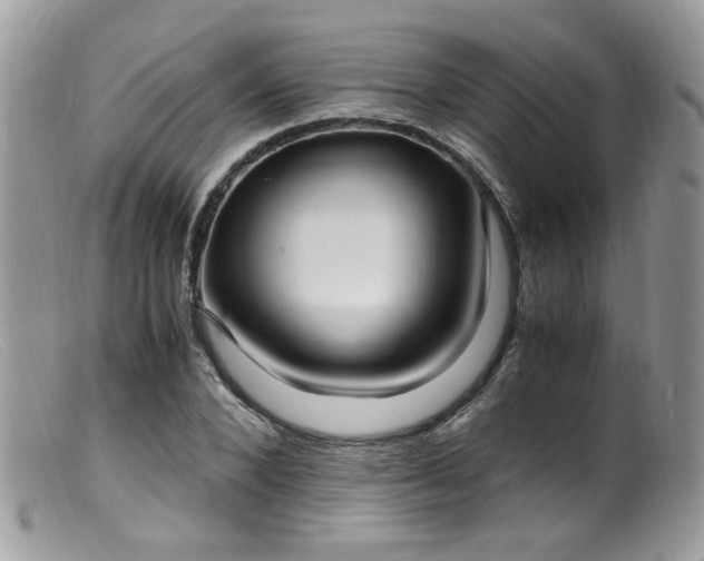 X0000099400880200805151703