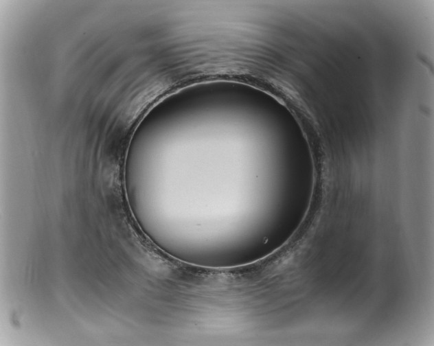 X0000099400881200805151703