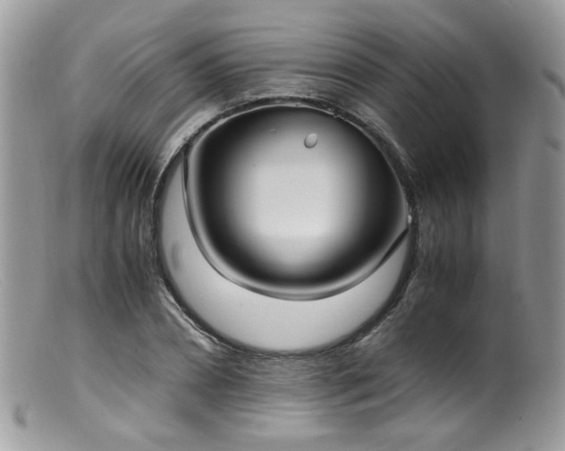 X0000099400882200805151703