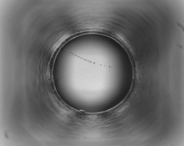 X0000099400883200805151703