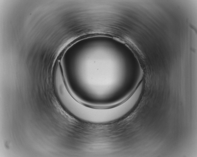 X0000099400884200805151703