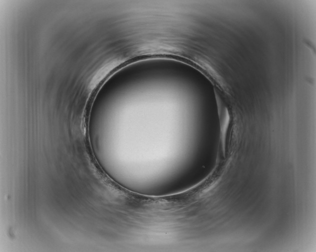 X0000099400885200805151703