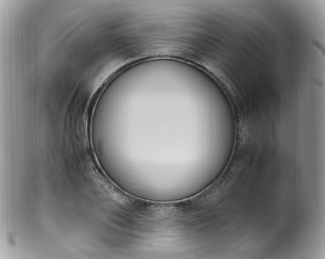 X0000099400886200805151703