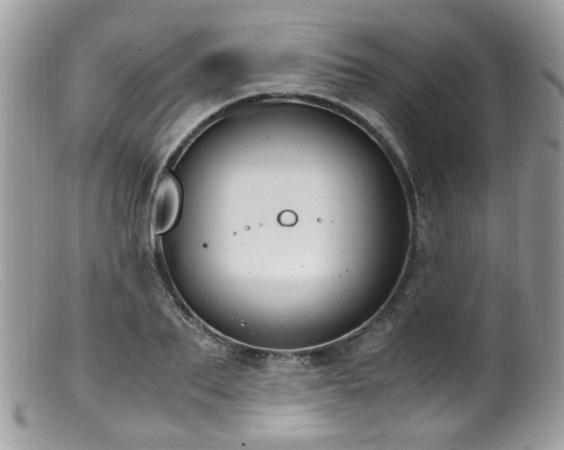 X0000099400887200805151703