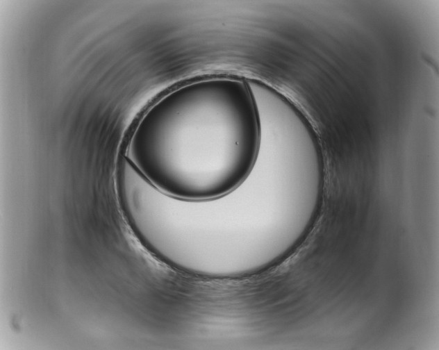 X0000099400888200805151703