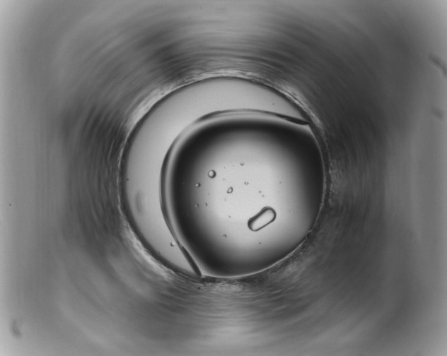 X0000099400890200805151703