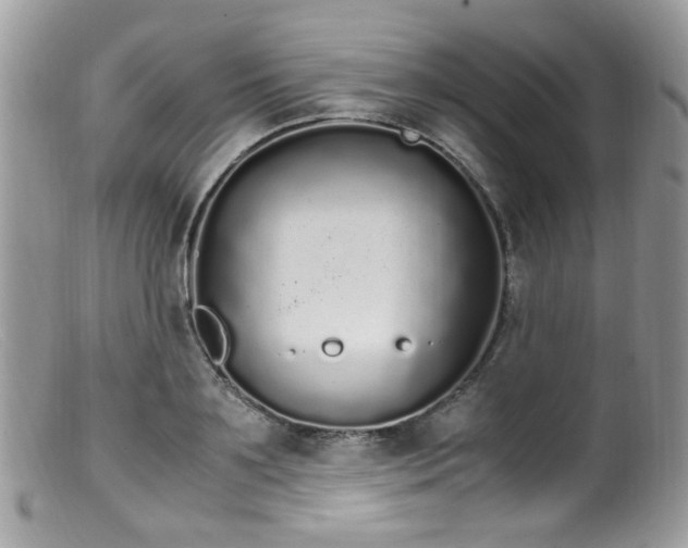 X0000099400891200805151703