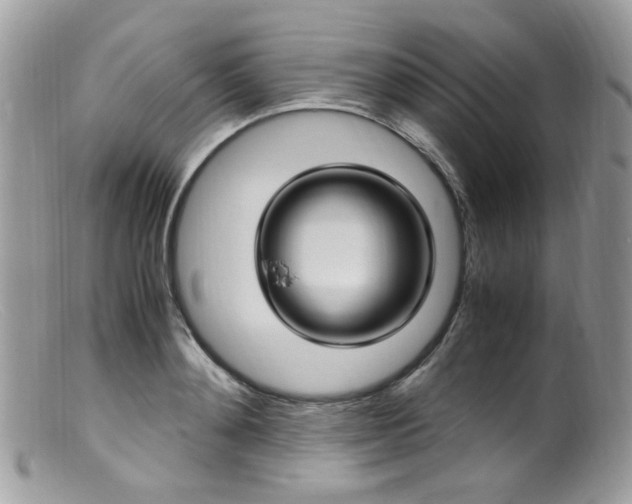 X0000099400892200805151703