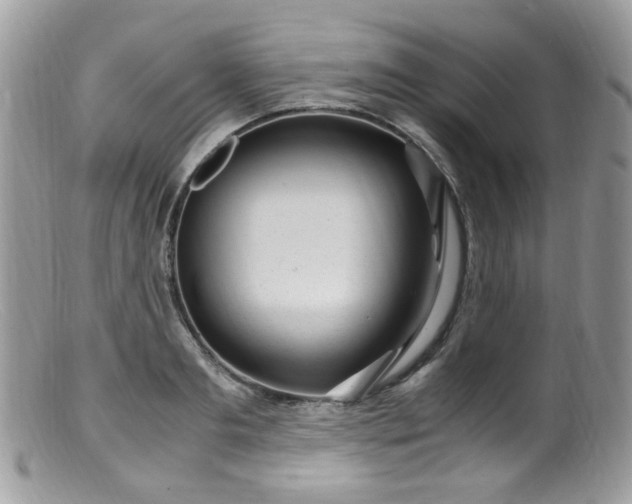 X0000099400893200805151703