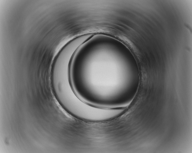 X0000099400894200805151703