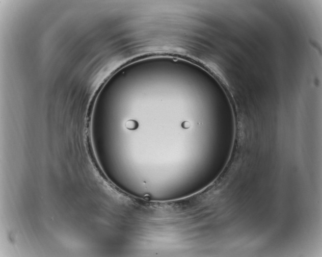 X0000099400895200805151703