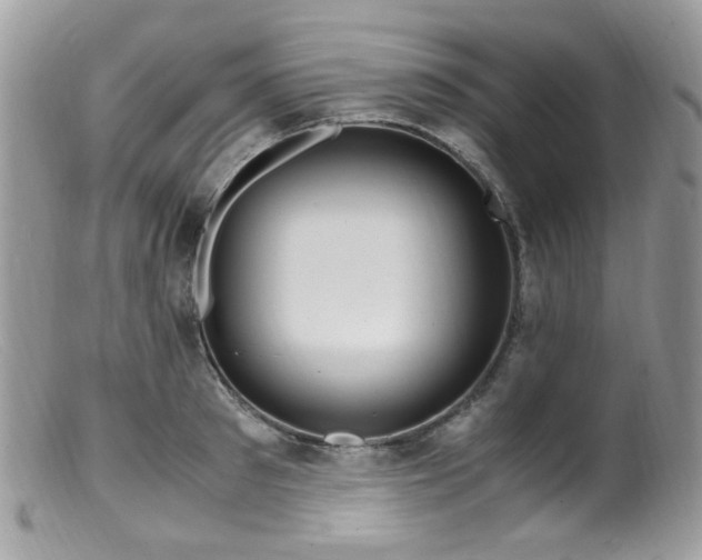 X0000099400897200805151703