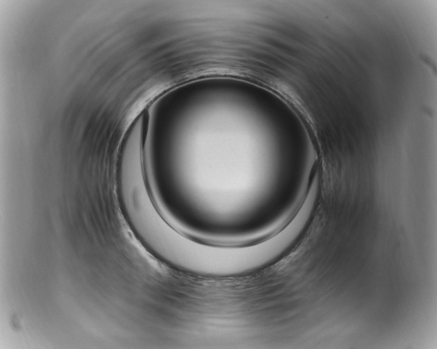 X0000099400898200805151703