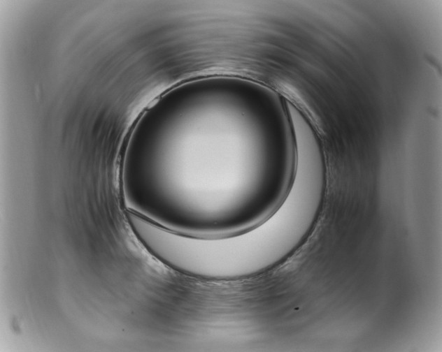 X0000099400900200805151702