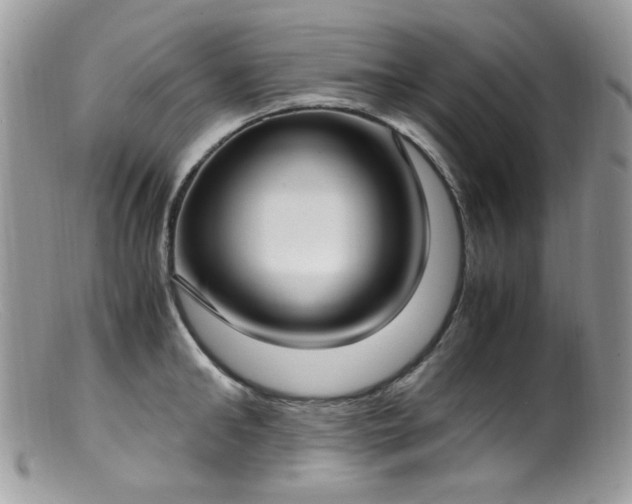 X0000099400902200805151702