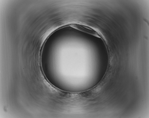 X0000099400903200805151702