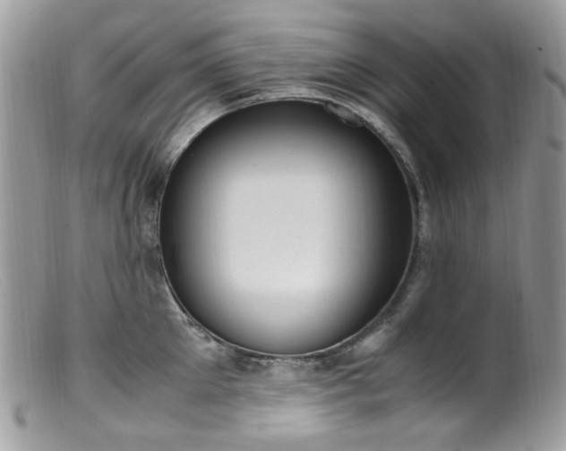 X0000099400905200805151702