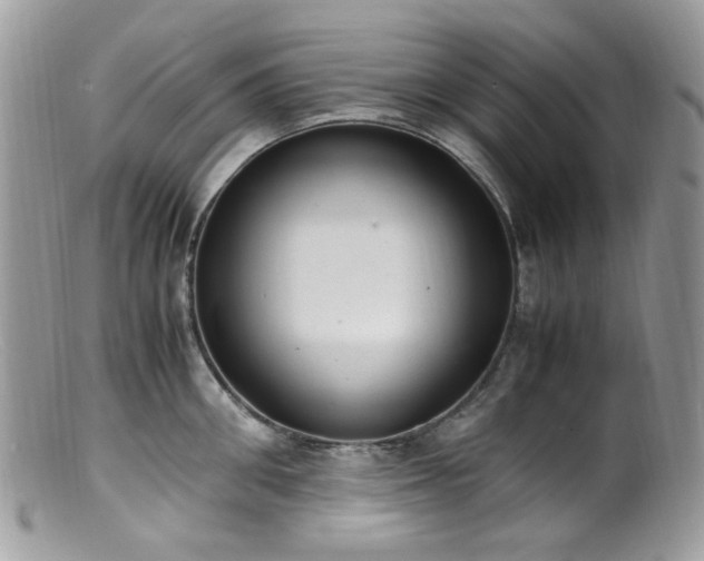 X0000099400906200805151702