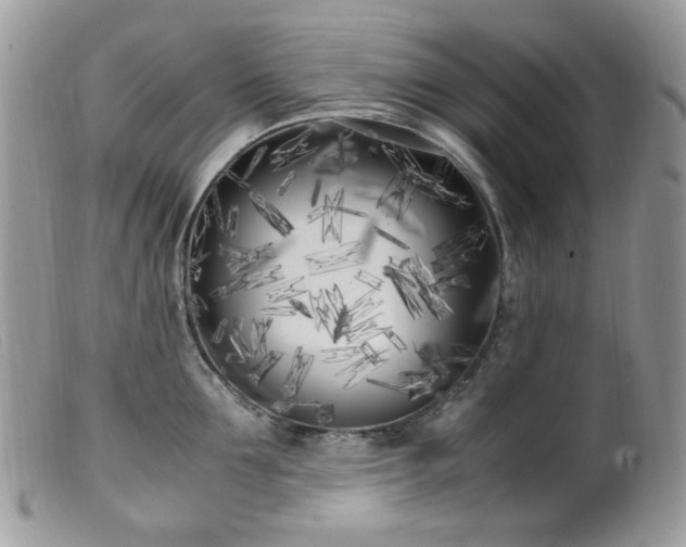 X0000099400907200805151702