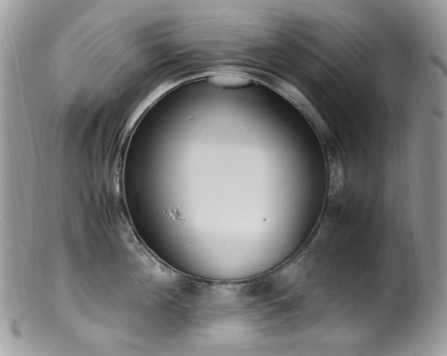 X0000099400908200805151702