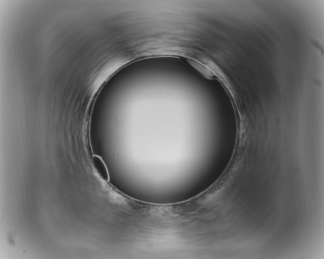 X0000099400909200805151702