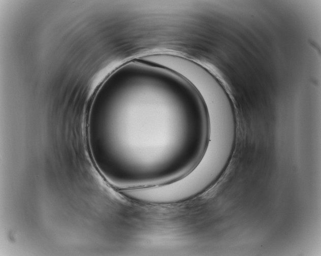 X0000099400910200805151702