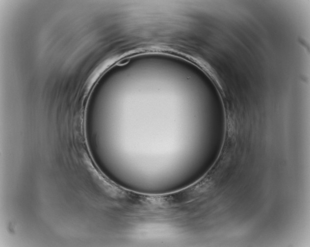 X0000099400911200805151702