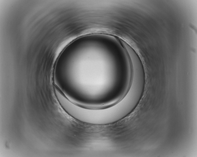 X0000099400912200805151702