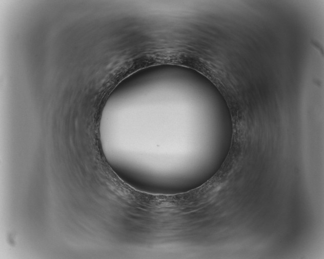 X0000099400913200805151702