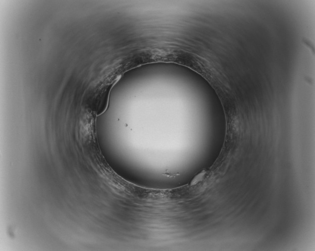 X0000099400914200805151702