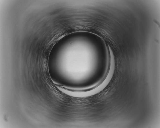 X0000099400915200805151702