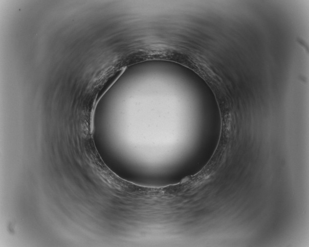 X0000099400916200805151702