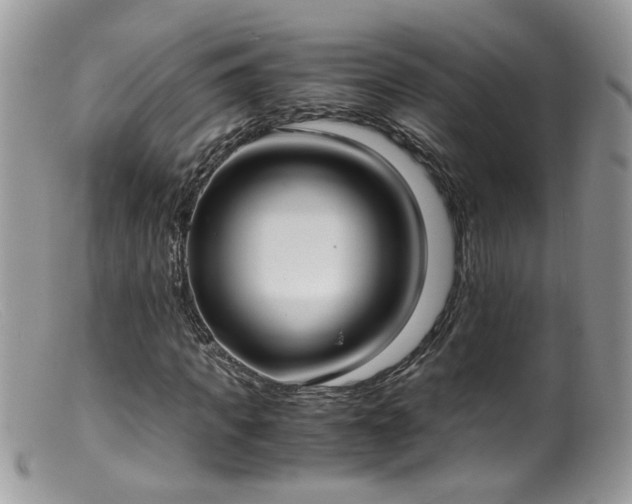 X0000099400917200805151702