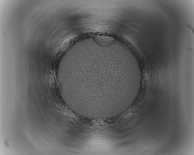 X0000099400918200805151702