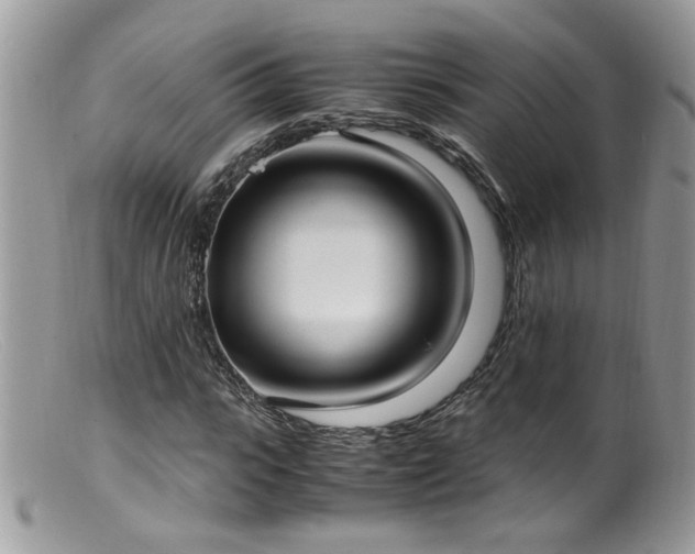 X0000099400919200805151702