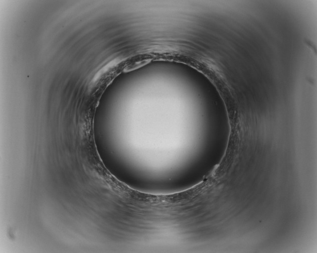 X0000099400920200805151702