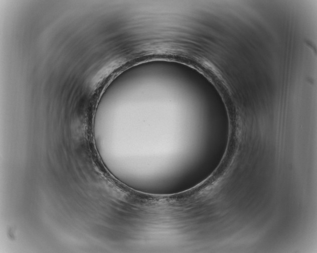 X0000099400922200805151702