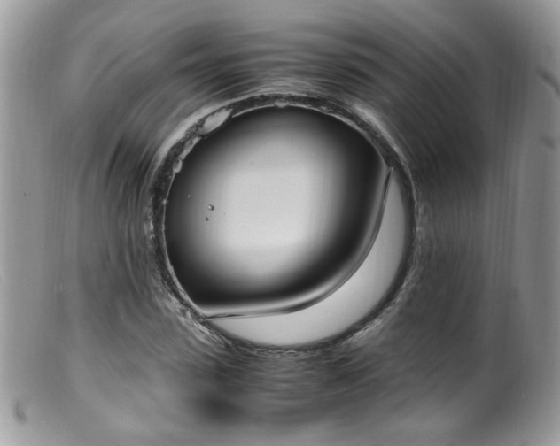 X0000099400923200805151702