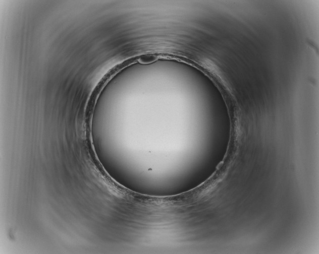 X0000099400924200805151702