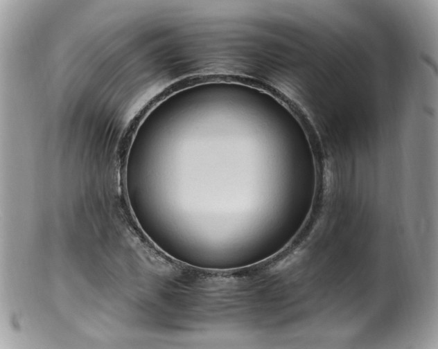 X0000099400925200805151702