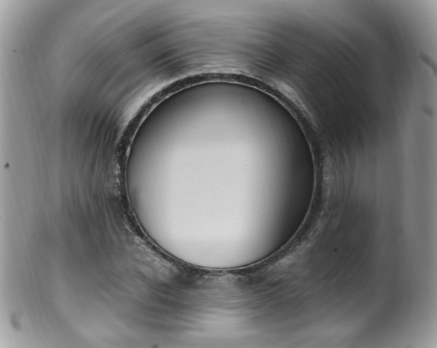 X0000099400926200805151702