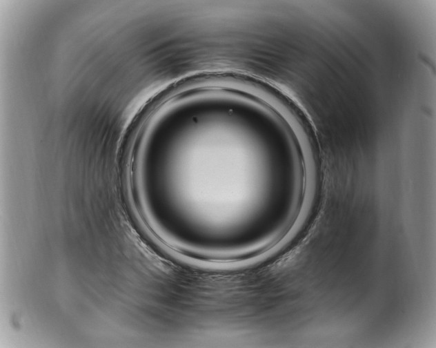 X0000099400927200805151702