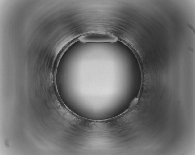 X0000099400928200805151702