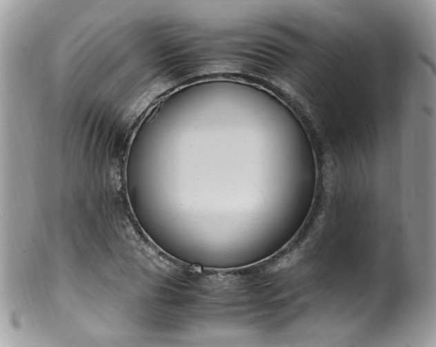 X0000099400929200805151702