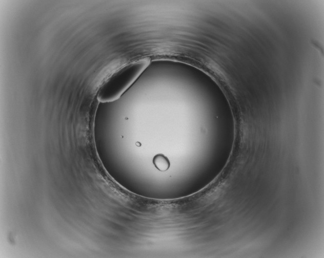 X0000099400930200805151702