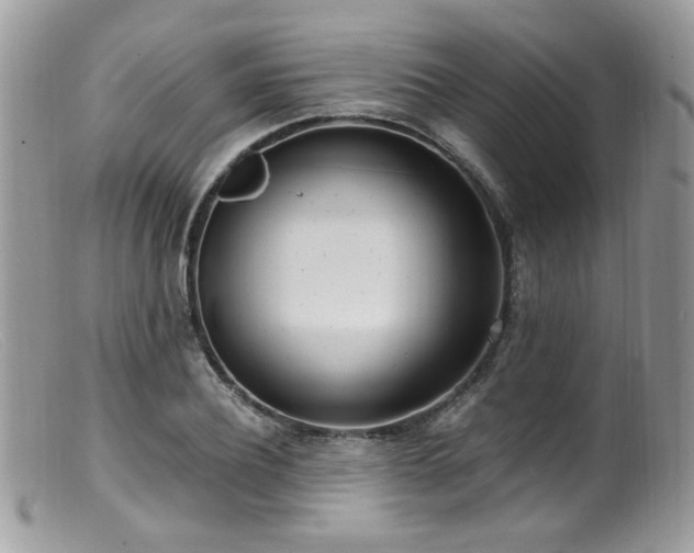 X0000099400932200805151702