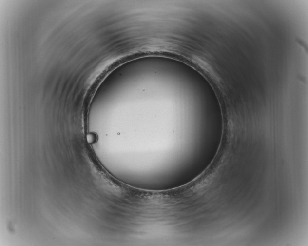 X0000099400934200805151702