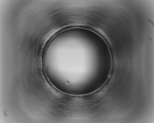 X0000099400935200805151702