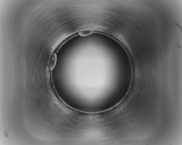 X0000099400936200805151702