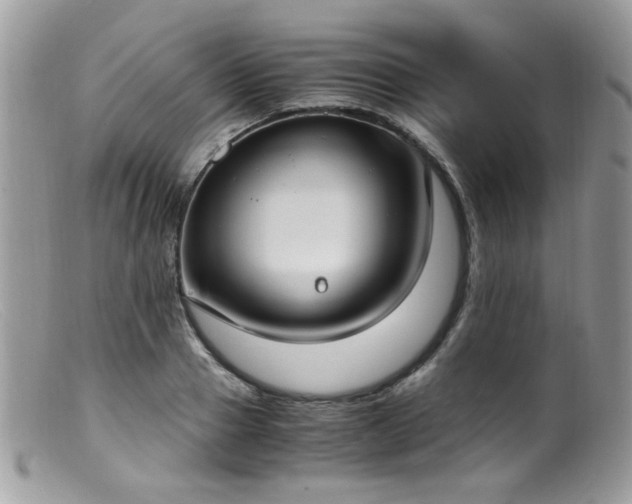 X0000099400937200805151702